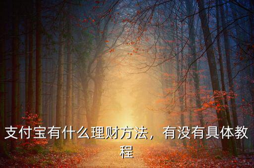 怎么用支付寶理財(cái),該如何用支付寶來理財(cái)呢