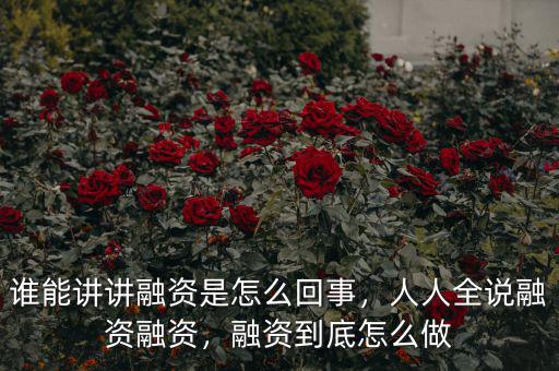 誰能講講融資是怎么回事，人人全說融資融資，融資到底怎么做