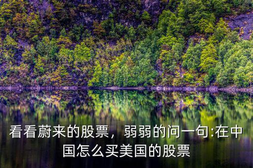 看看蔚來的股票，弱弱的問一句:在中國怎么買美國的股票