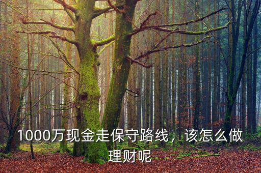1000萬(wàn)現(xiàn)金走保守路線，該怎么做理財(cái)呢