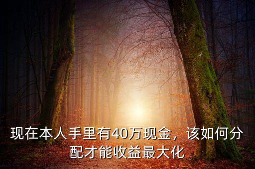 現(xiàn)在本人手里有40萬現(xiàn)金，該如何分配才能收益最大化