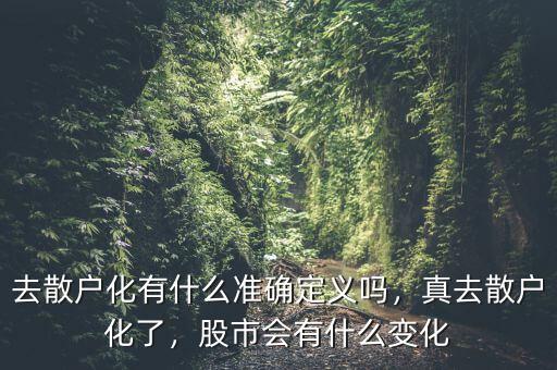 去散戶化有什么準(zhǔn)確定義嗎，真去散戶化了，股市會(huì)有什么變化
