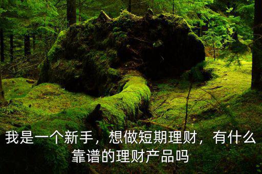 我是一個(gè)新手，想做短期理財(cái)，有什么靠譜的理財(cái)產(chǎn)品嗎