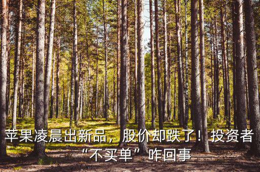 蘋果凌晨出新品，股價(jià)卻跌了！投資者“不買單”咋回事