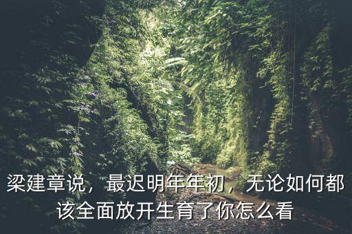 梁建章說，最遲明年年初，無論如何都該全面放開生育了你怎么看