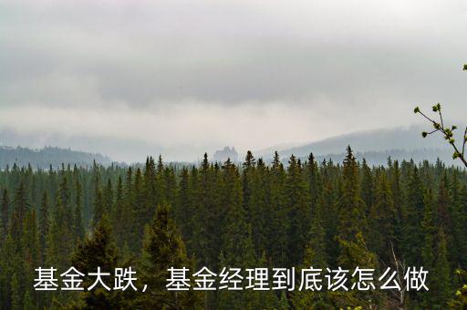 基金大跌，基金經(jīng)理到底該怎么做