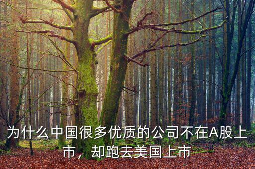 為什么中國(guó)很多優(yōu)質(zhì)的公司不在A股上市，卻跑去美國(guó)上市