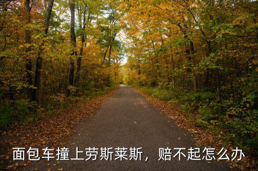 面包車撞上勞斯萊斯，賠不起怎么辦