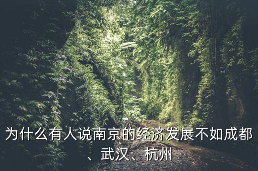 為什么有人說南京的經(jīng)濟(jì)發(fā)展不如成都、武漢、杭州