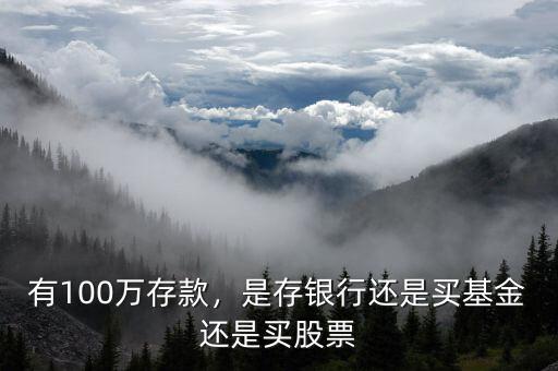 有100萬存款，是存銀行還是買基金還是買股票