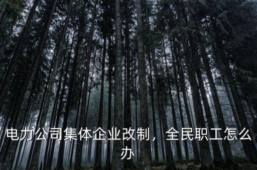 電力公司集體企業(yè)改制，全民職工怎么辦