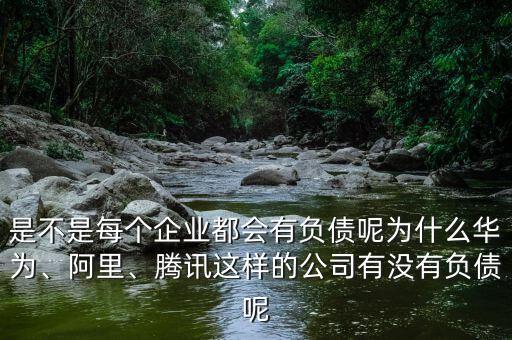 是不是每個企業(yè)都會有負(fù)債呢為什么華為、阿里、騰訊這樣的公司有沒有負(fù)債呢