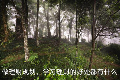 做理財規(guī)劃，學(xué)習(xí)理財?shù)暮锰幎加惺裁? class=