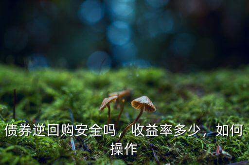 債券逆回購安全嗎，收益率多少，如何操作