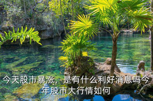今天股市暴漲，是有什么利好消息嗎今年股市大行情如何