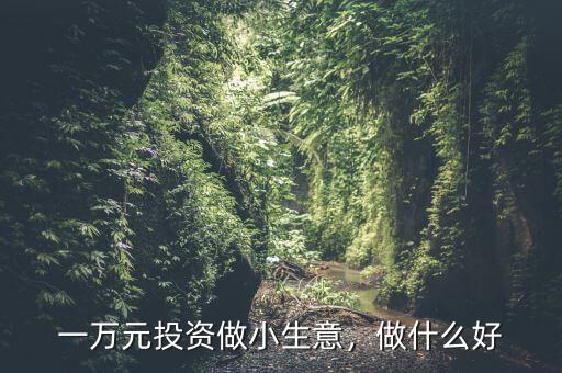 一萬(wàn)元投資做小生意，做什么好