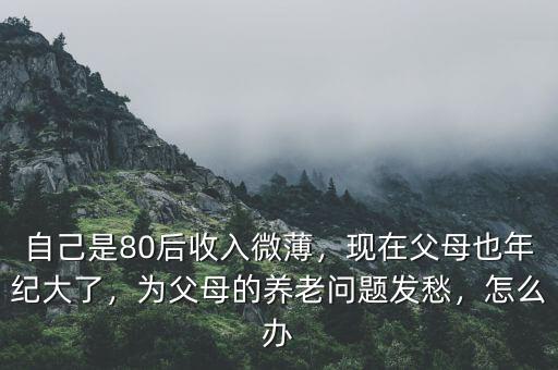 自己是80后收入微薄，現(xiàn)在父母也年紀(jì)大了，為父母的養(yǎng)老問題發(fā)愁，怎么辦