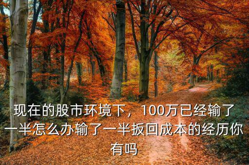 現(xiàn)在的股市環(huán)境下，100萬已經(jīng)輸了一半怎么辦輸了一半扳回成本的經(jīng)歷你有嗎
