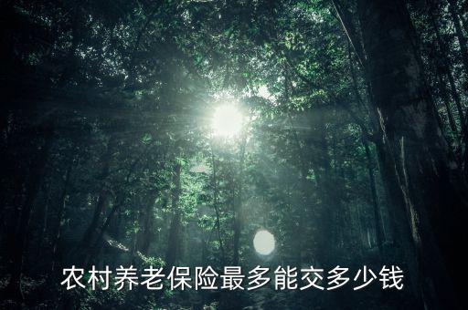 農村養(yǎng)老保險最多能交多少錢
