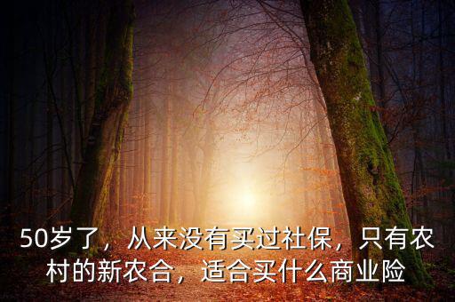 50歲了，從來(lái)沒(méi)有買(mǎi)過(guò)社保，只有農(nóng)村的新農(nóng)合，適合買(mǎi)什么商業(yè)險(xiǎn)