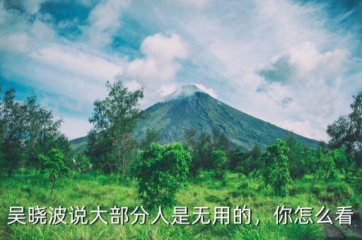 吳曉波說大部分人是無用的，你怎么看
