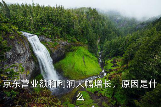 京東營業(yè)額和利潤大幅增長，原因是什么