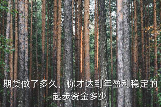 期貨做了多久，你才達到年盈利穩(wěn)定的起步資金多少