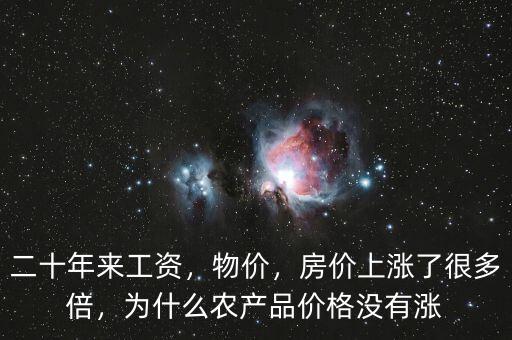 二十年來工資，物價，房價上漲了很多倍，為什么農(nóng)產(chǎn)品價格沒有漲