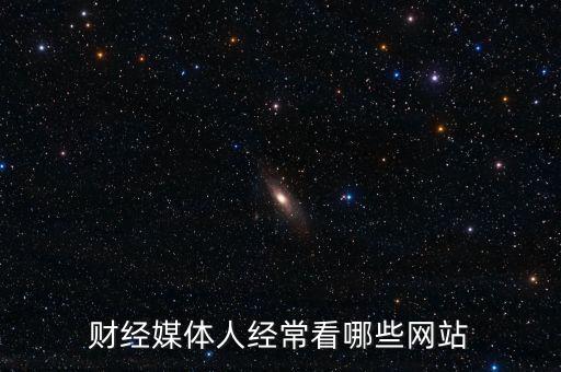 財(cái)經(jīng)媒體人經(jīng)?？茨男┚W(wǎng)站