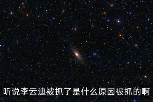 聽說(shuō)李云迪被抓了是什么原因被抓的啊