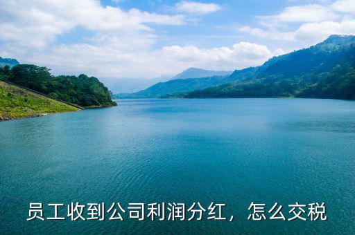 員工收到公司利潤(rùn)分紅，怎么交稅