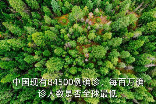 中國(guó)現(xiàn)有84500例確診，每百萬確診人數(shù)是否全球最低