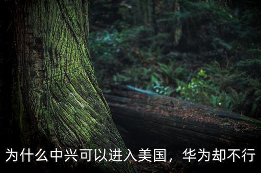 為什么中興可以進(jìn)入美國(guó)，華為卻不行