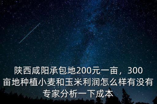 陜西咸陽(yáng)承包地200元一畝，300畝地種植小麥和玉米利潤(rùn)怎么樣有沒(méi)有專(zhuān)家分析一下成本