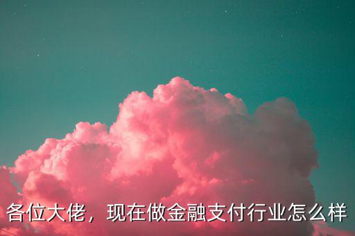 各位大佬，現(xiàn)在做金融支付行業(yè)怎么樣