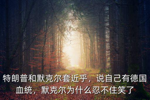 特朗普和默克爾套近乎，說(shuō)自己有德國(guó)血統(tǒng)，默克爾為什么忍不住笑了