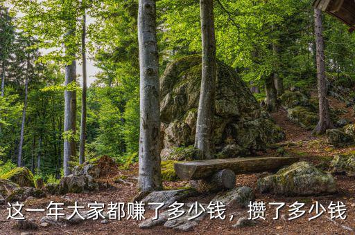 這一年大家都賺了多少錢，攢了多少錢