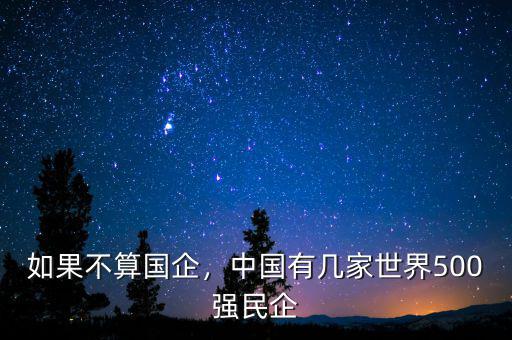 如果不算國企，中國有幾家世界500強民企