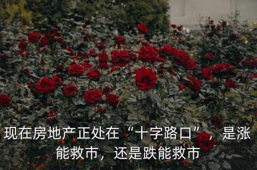 現(xiàn)在房地產(chǎn)正處在“十字路口”，是漲能救市，還是跌能救市