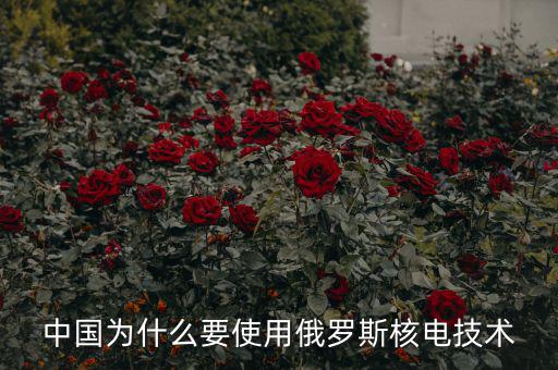 中國為什么要使用俄羅斯核電技術