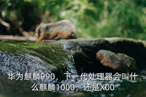 華為麒麟990，下一代處理器會(huì)叫什么麒麟1000，還是X00