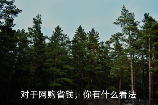 對(duì)于網(wǎng)購(gòu)省錢，你有什么看法