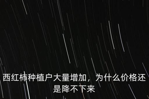 西紅柿種植戶大量增加，為什么價格還是降不下來