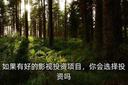 如果有好的影視投資項(xiàng)目，你會(huì)選擇投資嗎
