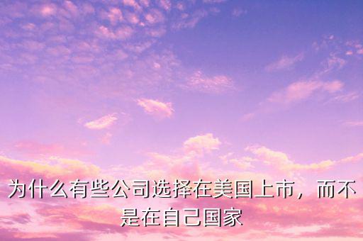 為什么有些公司選擇在美國上市，而不是在自己國家