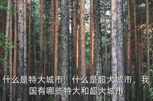 什么是特大城市，什么是超大城市，我國有哪些特大和超大城市