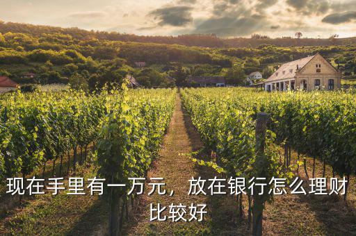 現(xiàn)在手里有一萬元，放在銀行怎么理財(cái)比較好