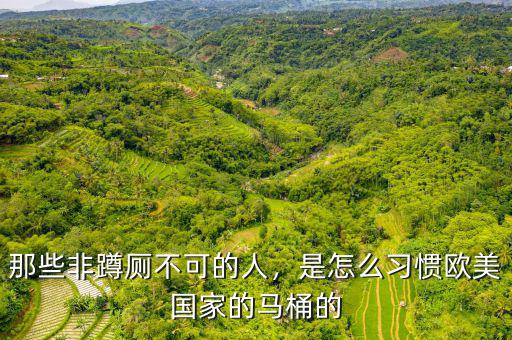 那些非蹲廁不可的人，是怎么習(xí)慣歐美國家的馬桶的