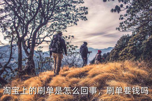 淘寶上的刷單是怎么回事，刷單要錢嗎