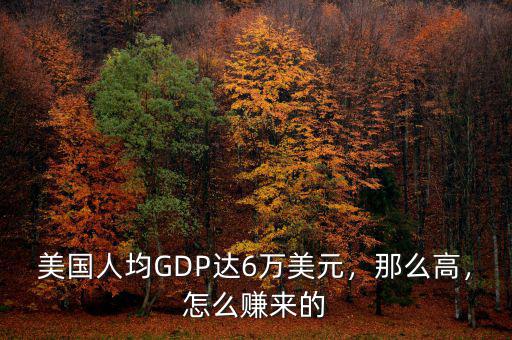 美國人均GDP達(dá)6萬美元，那么高，怎么賺來的